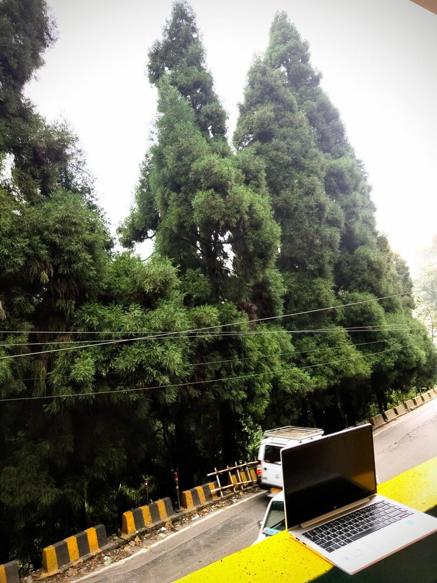Hidden Monkey Backpackers Darjeeling, Batasia Darjeeling  Exterior foto