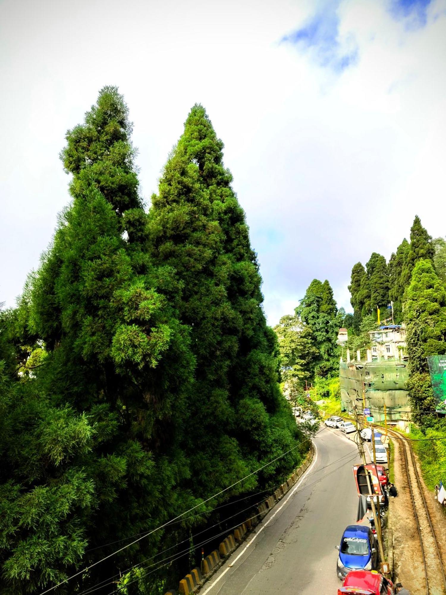Hidden Monkey Backpackers Darjeeling, Batasia Darjeeling  Exterior foto